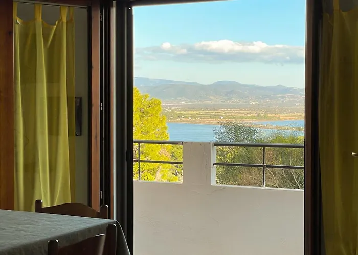 Renato Porto Pino